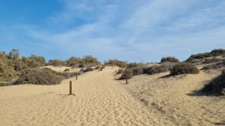 2023-GC--Mapalomas dunas-S123-187.jpg